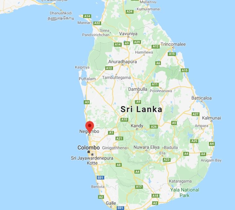 margarita kite school