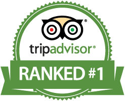 Margarita kitesurfing Sri Lanka is recognized number 1 in tripadvisor tripadvisor kite school in kalpitiya